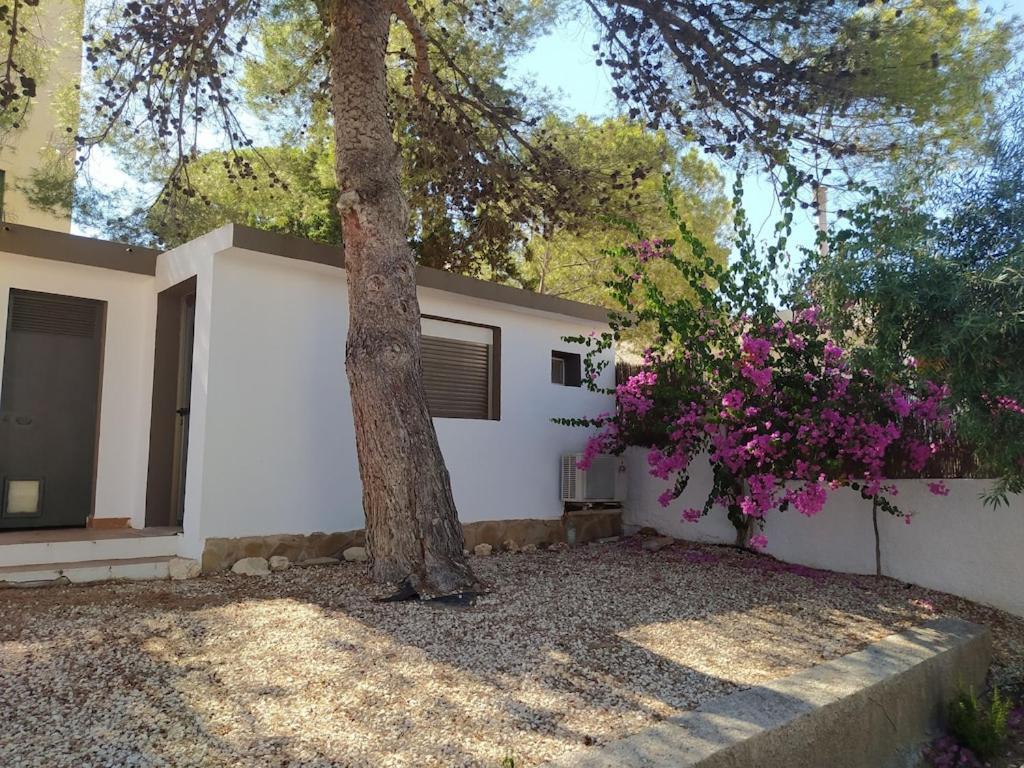 Nuza, Con Piscina Y Barbacoa El Campello